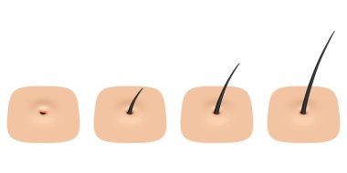 kafa derisi. 3D çizim.