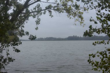 Sonbaharda hafif bir yağmur sırasında ağaçlar tarafından çerçevelenmiş bir nehir