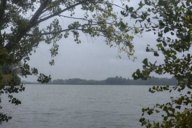 Sonbaharda hafif bir yağmur sırasında ağaçlar tarafından çerçevelenmiş bir nehir