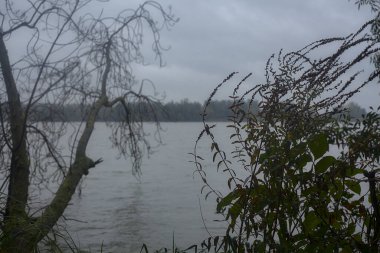 Sonbaharda hafif bir yağmur sırasında ağaçlar tarafından çerçevelenmiş bir nehir
