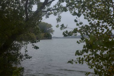 Sonbaharda hafif bir yağmur sırasında ağaçlar tarafından çerçevelenmiş bir nehir