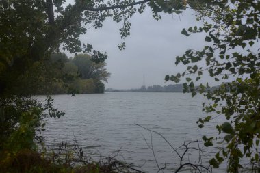 Sonbaharda hafif bir yağmur sırasında ağaçlar tarafından çerçevelenmiş bir nehir