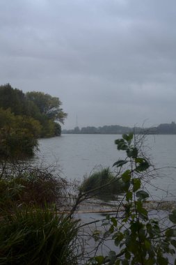 Sonbaharda, hafif bir yağış sırasında kıyılarında bir orman olan bir nehir.