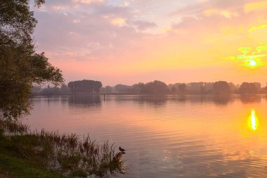 Sonbaharda bir ağacın çerçevelediği bir gölün üzerinde gün doğumu.