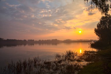 Sonbaharda bir ağacın çerçevelediği bir gölün üzerinde gün doğumu.