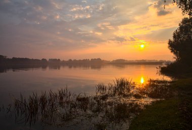Sonbaharda bir ağacın çerçevelediği bir gölün üzerinde gün doğumu.