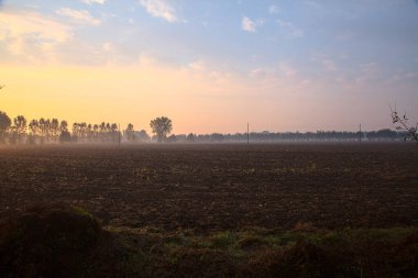 Kırsalda sonbaharda gün doğumunda sisli bir tarla.