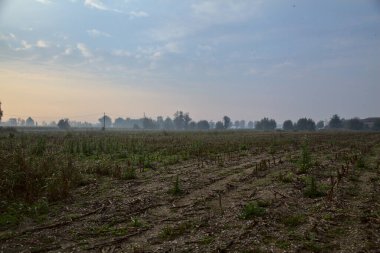 Sonbaharda kırsalda sisle kaplı bir alan.