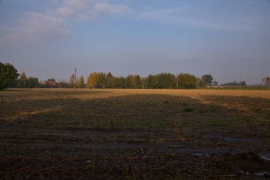 Sonbaharda sabah kırsalda tarla