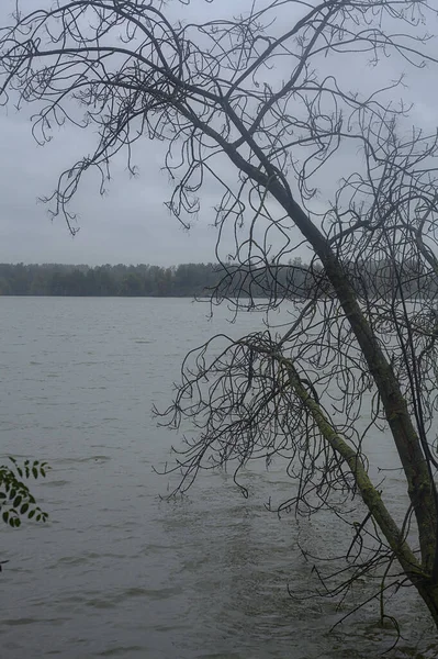 Een Rivier Omlijst Door Bomen Herfst Tijdens Een Lichte Regenval — Stockfoto