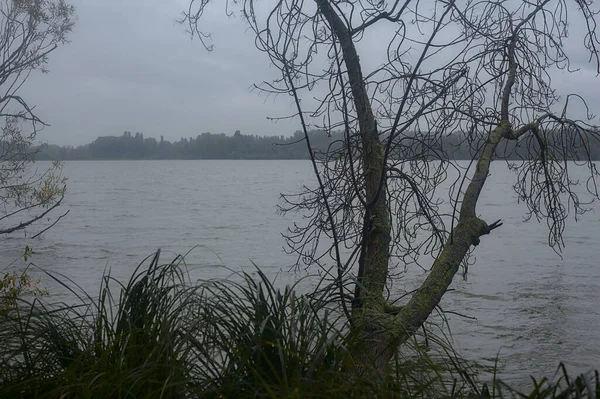 Een Rivier Omlijst Door Bomen Herfst Tijdens Een Lichte Regenval — Stockfoto