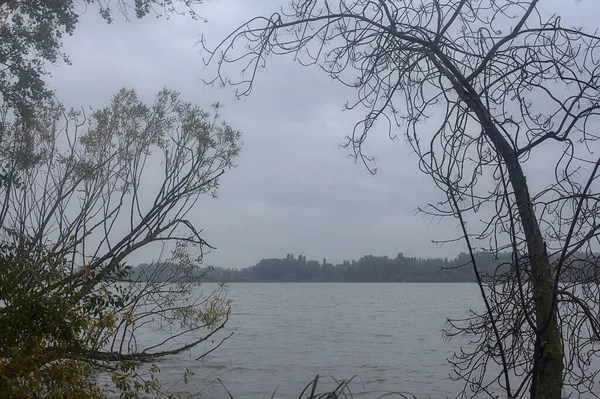 Sonbaharda hafif bir yağmur sırasında ağaçlar tarafından çerçevelenmiş bir nehir