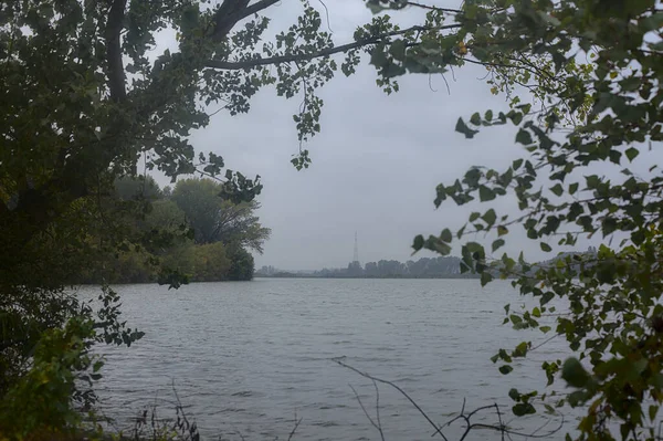 秋天的小雨中 一条被树木环绕的小河 — 图库照片