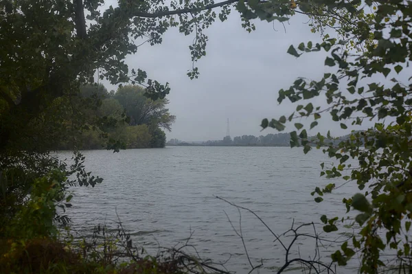 Ein Von Bäumen Umrahmter Fluss Herbst Bei Leichtem Regen — Stockfoto