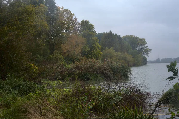 秋天的一条河 在小雨中 岸边有一片森林 — 图库照片