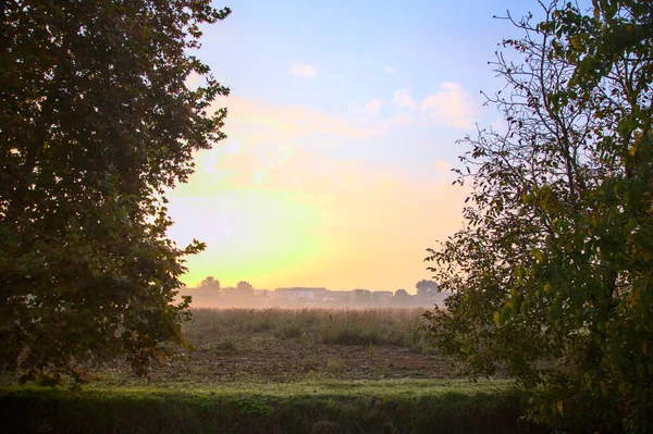 Veld Het Platteland Een Mistige Dag Herfst Omlijst Door Bomen — Stockfoto