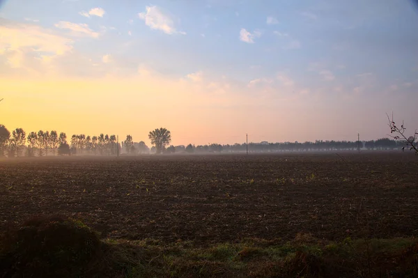 Field with mist at sunrise in autumn in the countryside