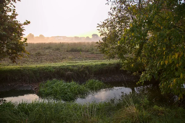 Ruisseau Eau Côté Champ Par Une Journée Brumeuse Automne Campagne — Photo