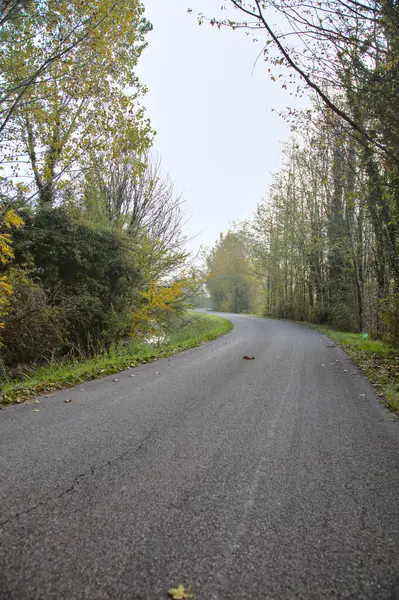 Route Avec Brouillard Dans Bosquet Matin Automne — Photo