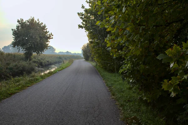 Estrada Com Nevoeiro Bosque Manhã Outono — Fotografia de Stock