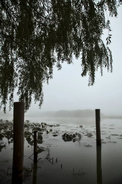 Postes Amarre Rodeado Almohadillas Lirio Lago Niebla Otoño —  Fotos de Stock