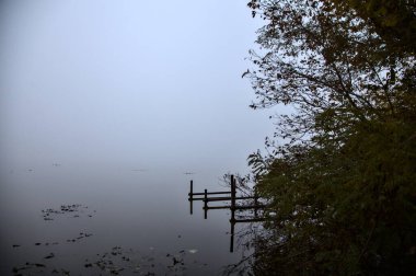 Sonbaharda, sisli bir günde İtalya 'nın kırsalında ağaçla çevrili bir göl.