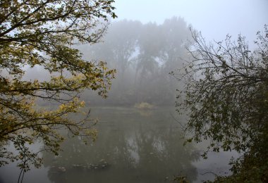 Sonbaharda, sisli bir günde İtalya 'nın kırsalında ağaçla çevrili bir göl.