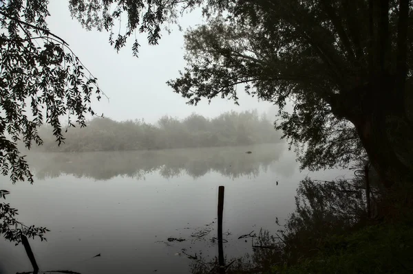 Lac Par Une Journée Brumeuse Automne Travers Une Ouverture Entre — Photo