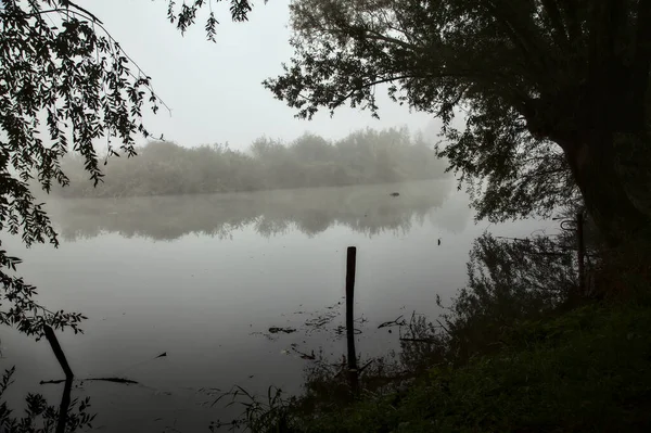 秋天的一个多雾的日子 透过树间的洞口 可以看到湖面 — 图库照片