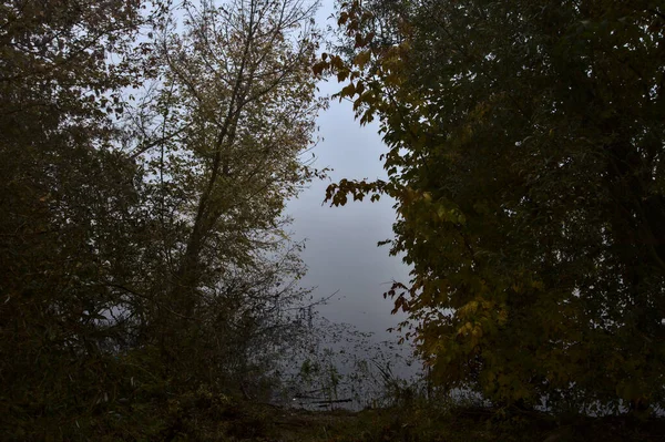 Lac Automne Lors Une Journée Brumeuse Encadrée Par Arbre Dans — Photo