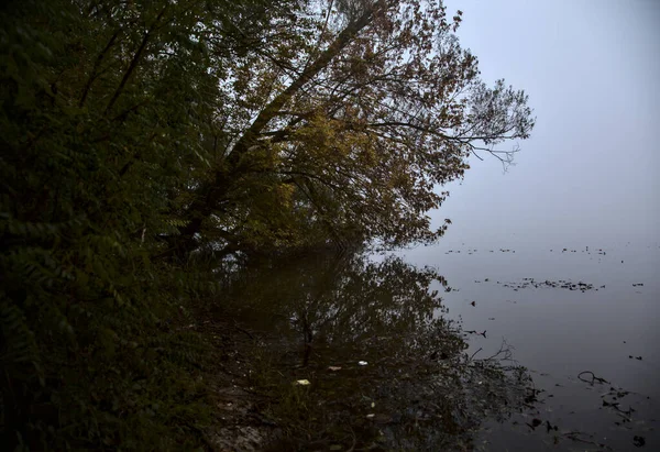 Lago Otoño Día Niebla Enmarcado Por Árbol Campo Italiano —  Fotos de Stock