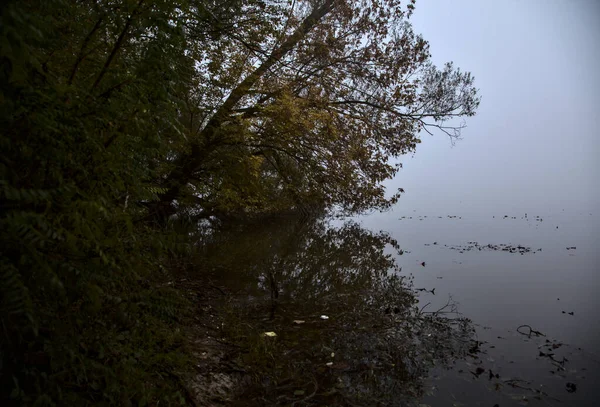 Lago Otoño Día Niebla Enmarcado Por Árbol Campo Italiano —  Fotos de Stock