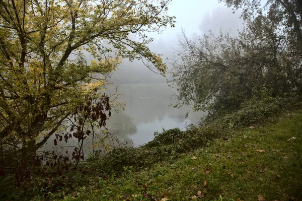 Höstens Sjö Dimmig Dag Inramad Träd Den Italienska Landsbygden — Stockfoto