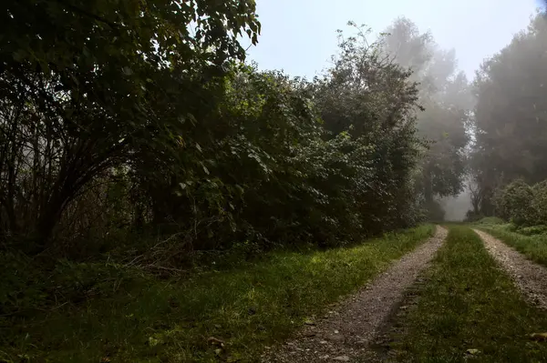 Путь Сельскую Местность Осенью Туманный День — стоковое фото