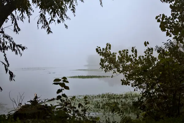 Озеро Осенью Туманный День Обрамленный Деревом Итальянской Сельской Местности — стоковое фото