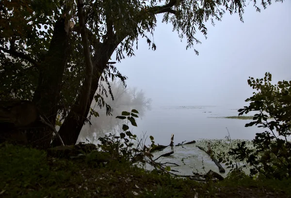Lago Otoño Día Niebla Enmarcado Por Árbol Campo Italiano —  Fotos de Stock
