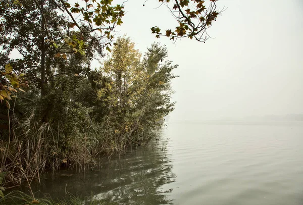 田舎の秋の霧の日に川の岸によってグローブ — ストック写真