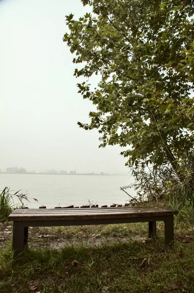 Bench Shore River Tree Rushes Foggy Day Autumn Countryside — Stock Photo, Image