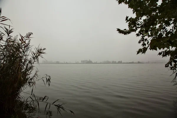 Río Con Plantas Loto Enmarcadas Por Árboles Cañas Día Niebla —  Fotos de Stock