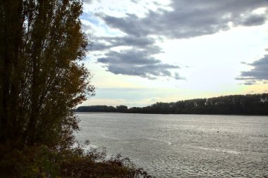 Sonbaharda bulutlu bir günde ağaçlarla çevrili bir nehir.