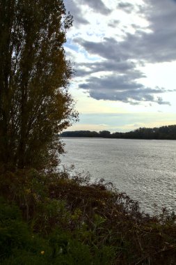 Sonbaharda bulutlu bir günde ağaçlarla çevrili bir nehir.