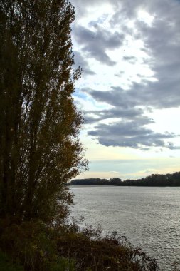 Sonbaharda bulutlu bir günde ağaçlarla çevrili bir nehir.