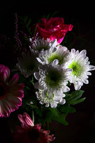 Bouquet Crisantemi Gerbere Con Rosa Fondo Nero — Foto Stock