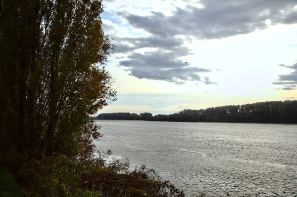 Река Облачный День Осенью Обрамлена Деревьями — стоковое фото