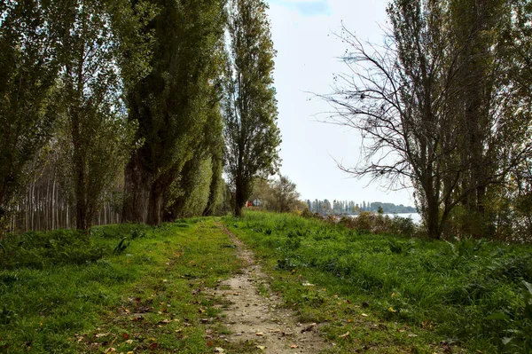 Ścieżka Granicząca Drzewami Nad Brzegiem Rzeki Jesienią — Zdjęcie stockowe
