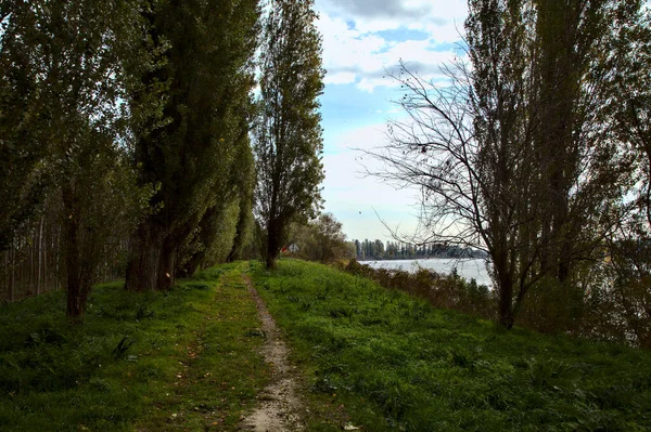 Caminho Limitado Por Árvores Pela Margem Rio Outono — Fotografia de Stock