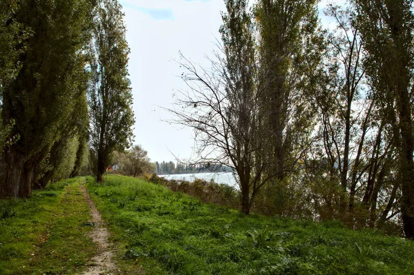 Sendero Bordeado Por Árboles Orillas Río Otoño — Foto de Stock