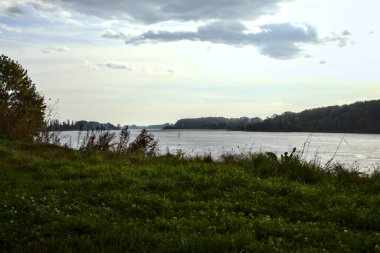 Sonbaharda bulutlu bir günde ağaçlarla çevrili bir nehir.