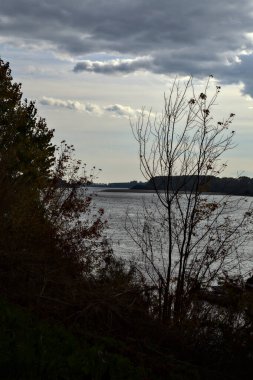 Sonbaharda bulutlu bir günde ağaçlarla çevrili bir nehir.