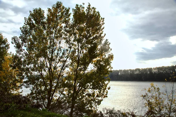 Flod Mulen Dag Hösten Inramad Träd — Stockfoto